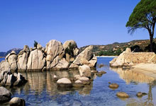 里斯本竞技对阵吉维森特最终比分是多少？这场比赛有哪些关键看点？